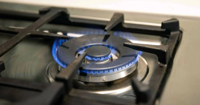 Carbon Monoxide Analyzer