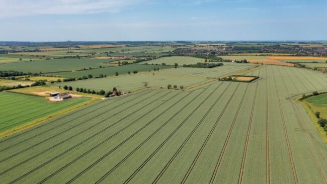 Buy Land